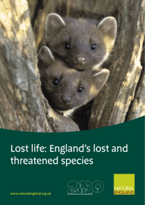 Lost life: England`s lost and threatened species