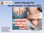 Gene therapy for Dyskeratosis Congenita (DC)