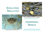 1.0.Darwinian Snails