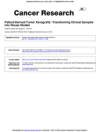 into Mouse Models Patient-Derived Tumor Xenografts: Transforming