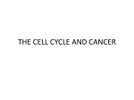 cancer2 - TASIS IB Biology