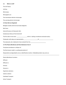 Ch 3 Notes Outline