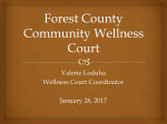 Wellness Courts - Stenzel Law Office
