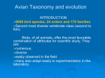 Avian Systematics and evolution