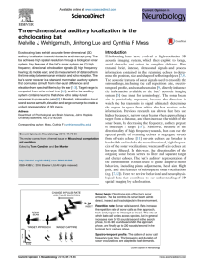 Three-dimensional auditory localization in the