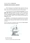 2. …………………... are found in plant cell.