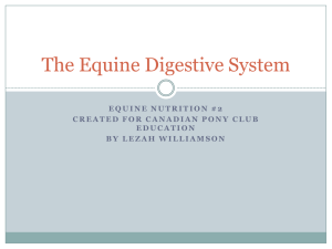 Equine Nutrition #2 - Canadian Pony Club