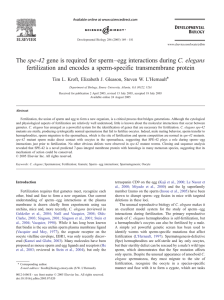 The spe-42 gene is required for sperm–egg interactions during C