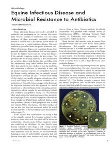 Equine Infectious Disease and Microbial Resistance to Antibiotics