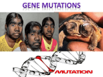 Mutations -Gene - Mr. Lesiuk