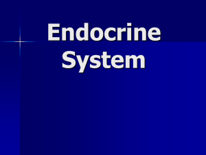 19_endocrine