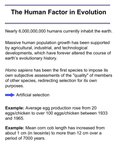 The Human Factor in Evolution
