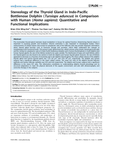 Stereology of the Thyroid Gland in Indo-Pacific Bottlenose