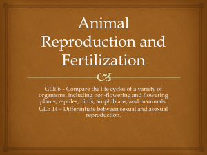 Animal Reproduction and Fertilization