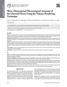 Three-Dimensional Microsurgical Anatomy of the Choroid Plexus