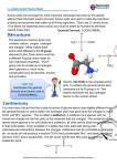 Amino acid theory sheet
