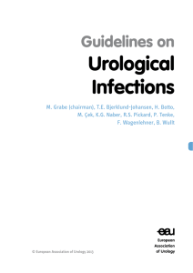 Guidelines on Urological Infections
