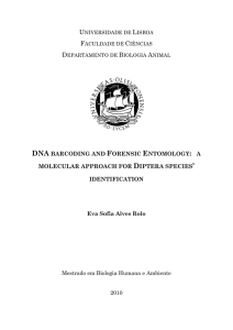 DNA barcoding and Forensic Entomology: a molecular