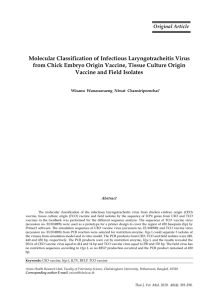 Molecular Classification of Infectious Laryngotracheitis Virus from