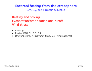 External forcing from the atmosphere