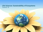 Ecosystem - WordPress.com
