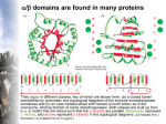 Protein structure is conceptually divided into four levels of organization