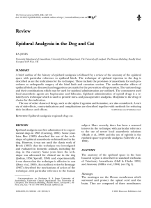 Epidural Analgesia in the Dog and Cat