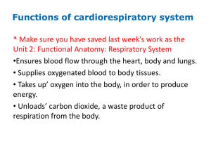 Unit 2 respiratory system 3.58MB 2017-03-29 17