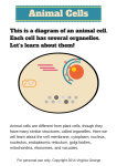 Parts of a Cell: Animal Cells