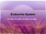 020409 Endocrine System gl 2842KB Jan