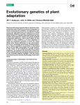 Evolutionary genetics of plant adaptation