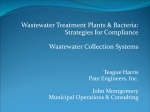 Wastewater Collection Systems— Impact on WWTP Disinfection