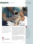 Breed-specific Anesthesia