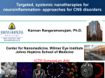 Targeted, systemic nanotherapies for neuroinflammation