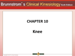 knee - Instructure