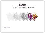Project HOPE - WHAT IF server