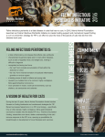 Feline Infectious Peritonitis Initiative
