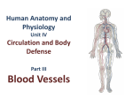 PowerPoint Presentation - WKC Anatomy and Physiology