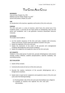 Guidelines to the Citric acid cycle