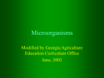 Microorganisms