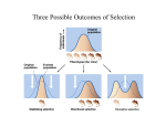 Three Possible Outcomes of Selection