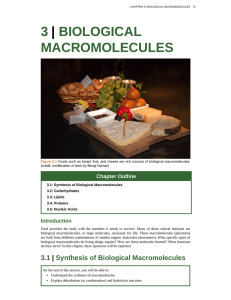 3 | biological macromolecules
