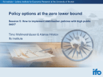 Policy options at the zero lower bound