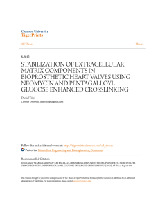 stabilization of extracellular matrix components in
