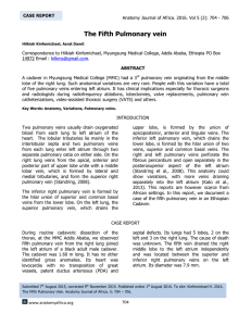 The Fifth Pulmonary vein - Anatomy Journal of Africa