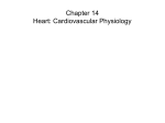 Chapter 14 Heart: Cardiovascular Physiology