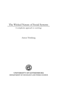 The Wicked Nature of Social Systems