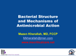 Bacterial Structure and Mechanisms of Antimicrobial Action