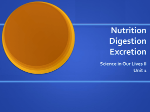 Nutrition/Digestion/Excretion PPT