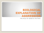 BIOLOGICAL EXPLANATION OF AGGRESSION